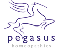 Canvas Logo