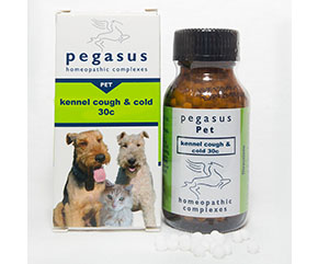 Spongia tosta shop for dogs