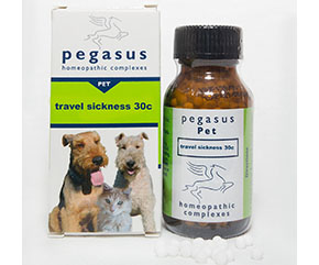 can you get travel sickness pills for dogs